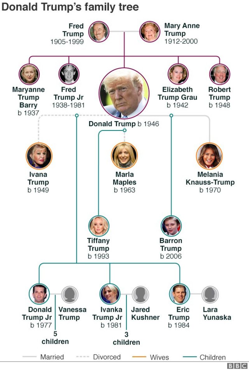 Donald Trump Family Tree Jeffrey Epstein Black Book - Enchanted LifePath Report